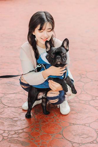 国产免费观看高清电视剧大全