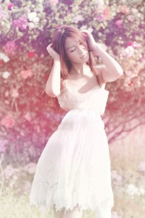 间谍过家家第三季