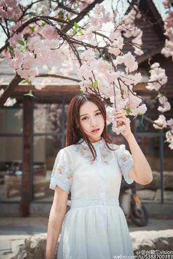 成全在线观看免费观看全集