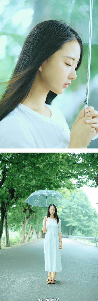 我的团长我的团