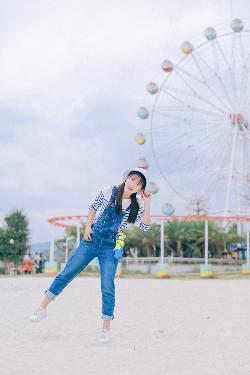 国产射频放大器