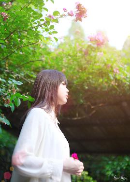 奇迹在东京泰剧在线观看