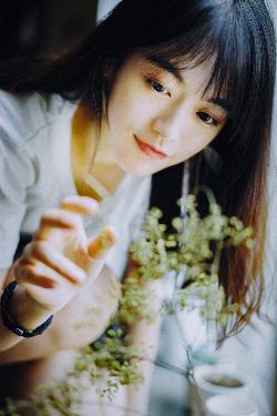 斗破苍穹年番在线观看免费观看完整版