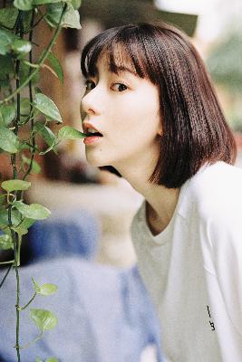 无颜之月在线观看