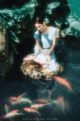 特战荣耀在线观看免费完整版