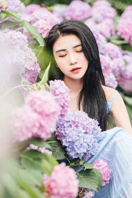 四面佛1-15集免费播放