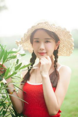 国产免费观看高清电视剧大全