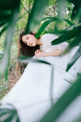 大明风华电视剧全集免费观看