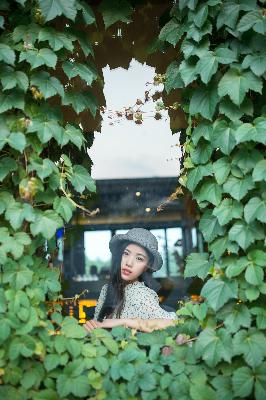 挣扎吧亚当君在线观看免费全集