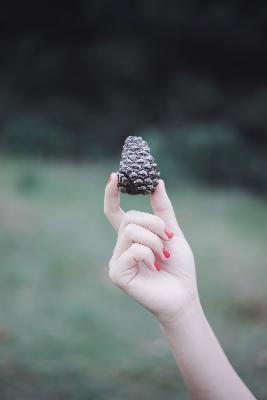 我的兄弟叫顺溜电视剧全集免费观看