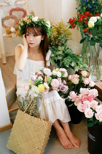 长歌行电视剧免费观看全集