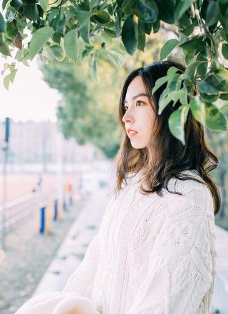 免费观看好看的国产电视剧