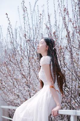 何以笙箫默电视剧全集免费播放