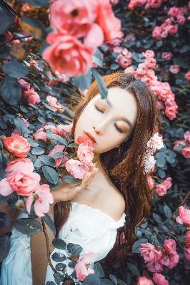 剥茧电视剧免费全集在线播放