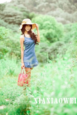 陈六何沈轻舞都市之最强狂兵