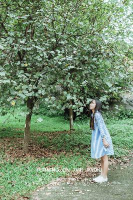 国产免费观看高清电视剧在线最新