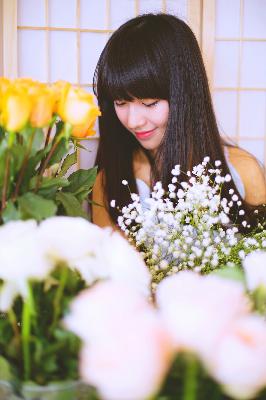 继承者们电视剧全集免费观看