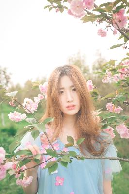 窝窝影院免费观看电视剧最新章节