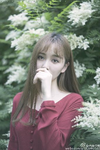 农场主的女儿们