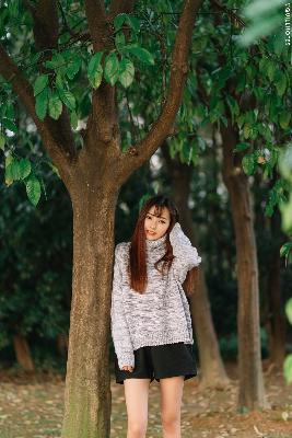 斗破苍穹年番动漫