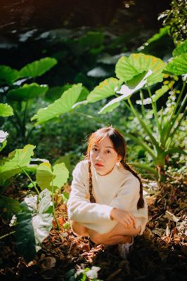 老牛影视在线观看免费观看电视剧