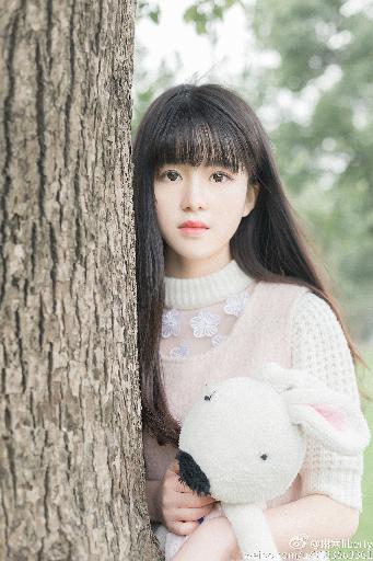 东北往事之黑道风云20年