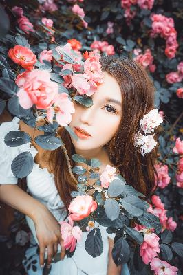 你比星光美丽电视剧免费观看