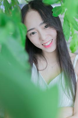 红果剧场电视剧大全