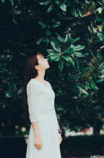 余生有涯电视剧免费观看全集