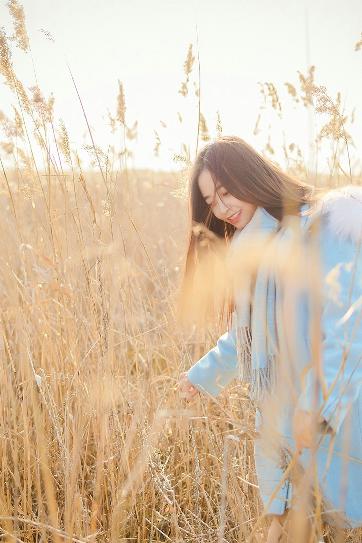 楚汉传奇1-80全集完整版