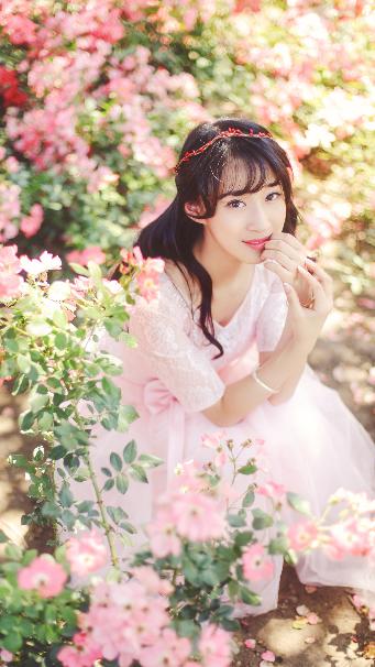 芒果TV免费播放网站