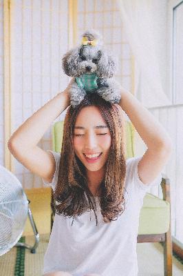 中文免费高清在线看电视剧