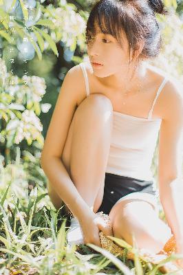 追风者电视剧免费观看