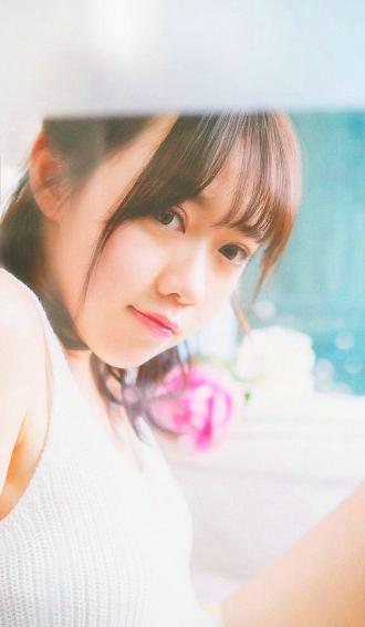 人狗大战2高清正版免费