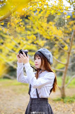 我的阿勒泰电视剧免费观看