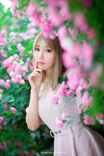 莲花楼电视剧免费观看完整版