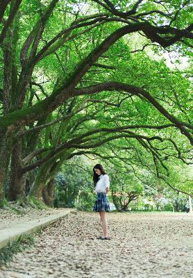 青楼十二房在线观看免费版电视剧全集