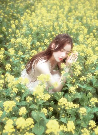 隐锋电视剧免费观看全集高清