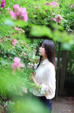 名侦探柯普通话免费观看