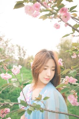 办公室3在线观看免费版电视剧大全