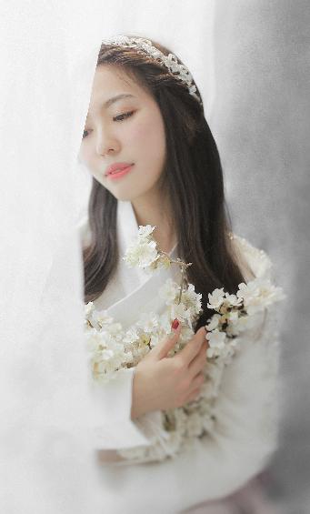 免费观看国语高清电视剧