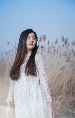 韩国电影在线高清免费观看完整版