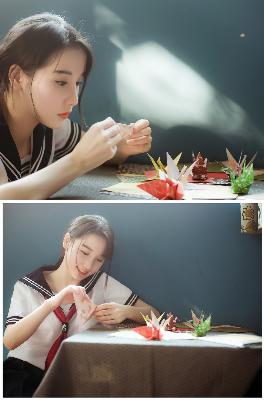 野兽们的战争在线观看免费版