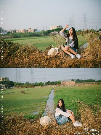 树影迷宫电视剧免费播放